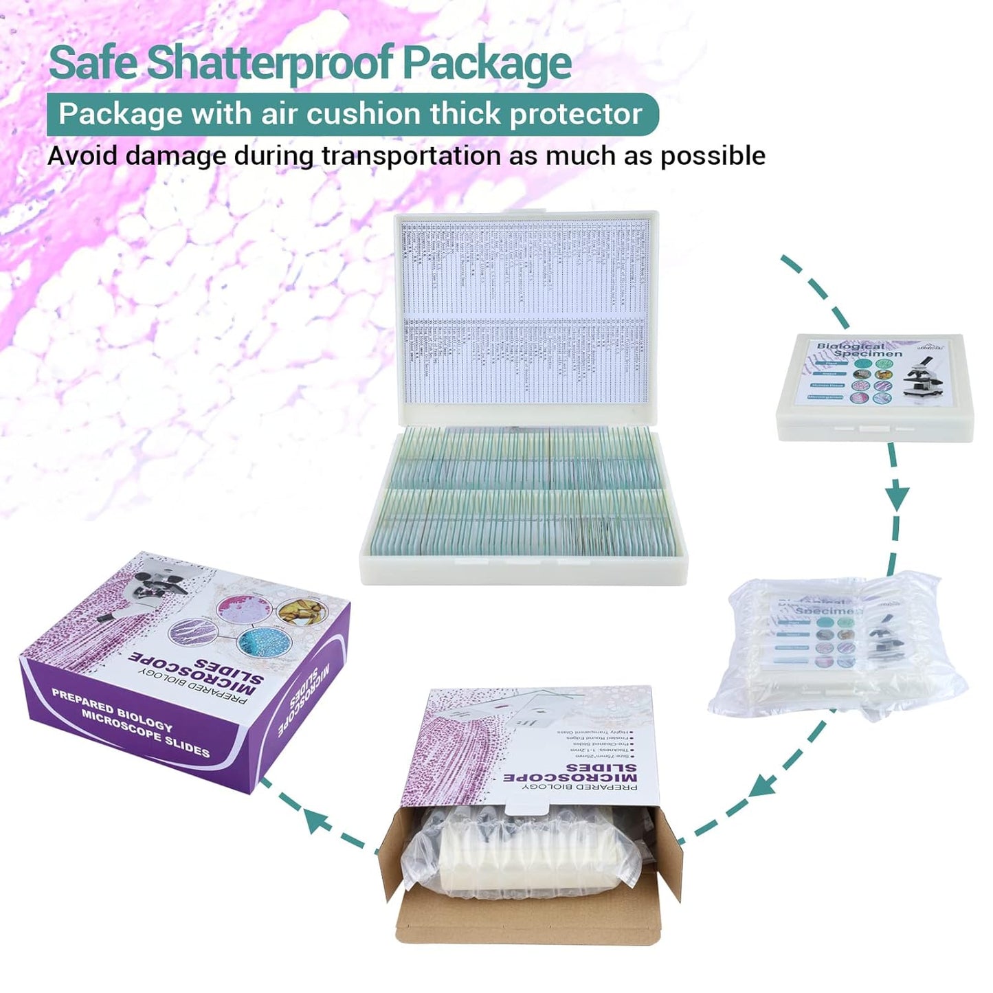 100 Microscope Slides with Specimens for Kids and Adults, Prepared Microscope Slides with Plants Animals Insects for Students Homeschool Edu