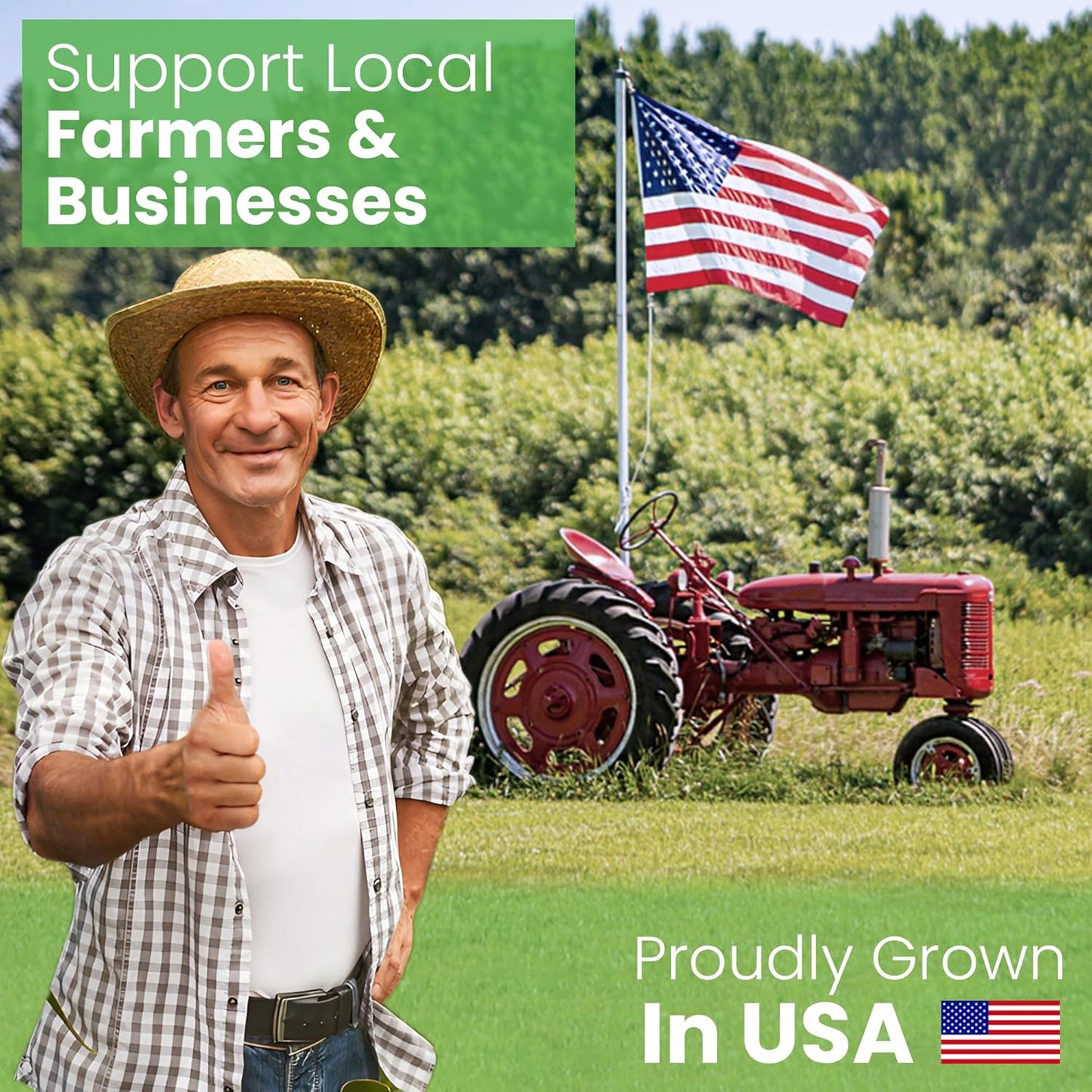 Bean Products 20" x 30" Queen Bed Pillow for Sleeping โ Organic Millet Fill with Organic Cotton Fabric, Soft Head Pillow โ Eco-Friendly, Breathable, and Durable Sleep Aid, Made in The USA