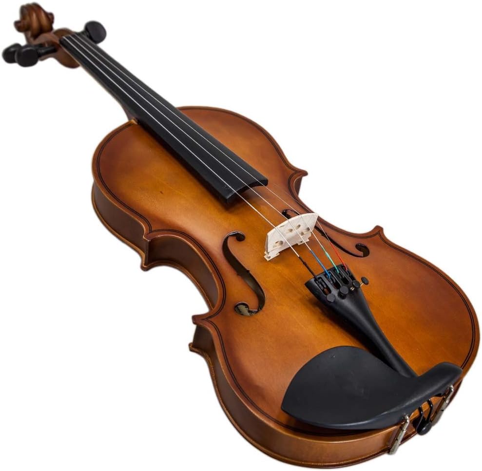 Paititi Student Violin Starter Kit with Brazilwood Lightweight Case, Extra Strings and Rosin (1/16)