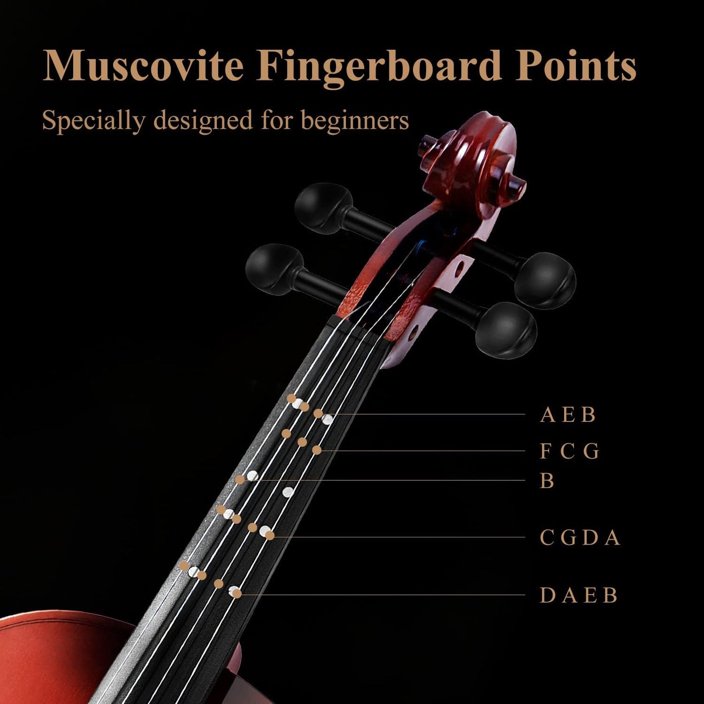 Eastar 1/2 Violin Set for Beginners, Half Size Fiddle with Hard Case, Rosin, Shoulder Rest, Bow, and Extra Strings (Imprinted Finger Guide on Fingerboard), EVA-2