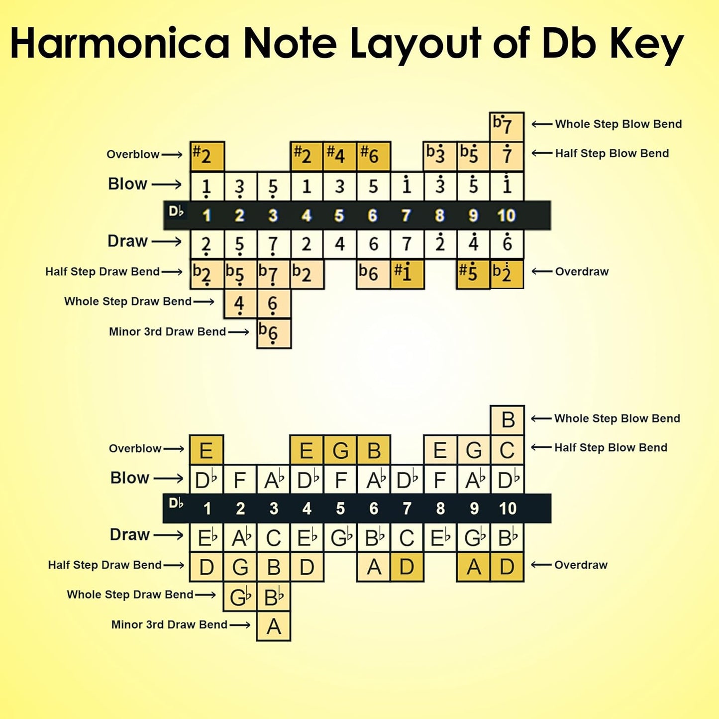 Diatonic Harmonica of D flat Key,Blues Mouth Organ 10 Hole 20 Tones, Reed of Phosphor Bronze, ABS Combo, Easy-Clean Cover,10 Hole Blues Harp for Adult, Beginner
