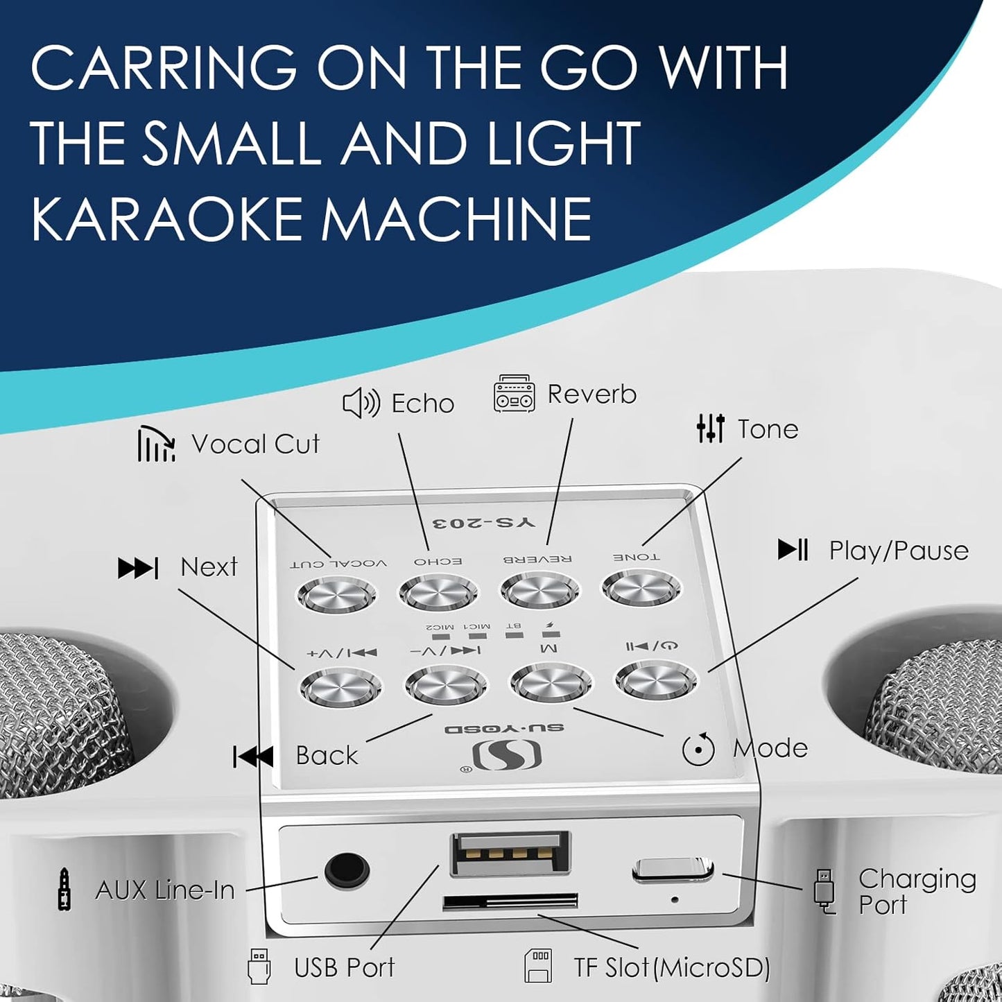 Karaoke Machine for Adults and Kids, Portable Bluetooth Karaoke Speaker with 2 Wireless Microphones for TV, Singing Karaoke for Home Party, Great Gifts for Boys and Girls