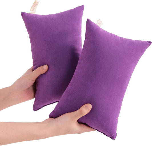 NTBAY Tiny Pillows, Down Alternative 7"x11" Microfiber Mini Pillows for Travel, Pets, Soft Machine Washable Small Pillows for Neck, Wrist, Lumbar and Knee, Purple
