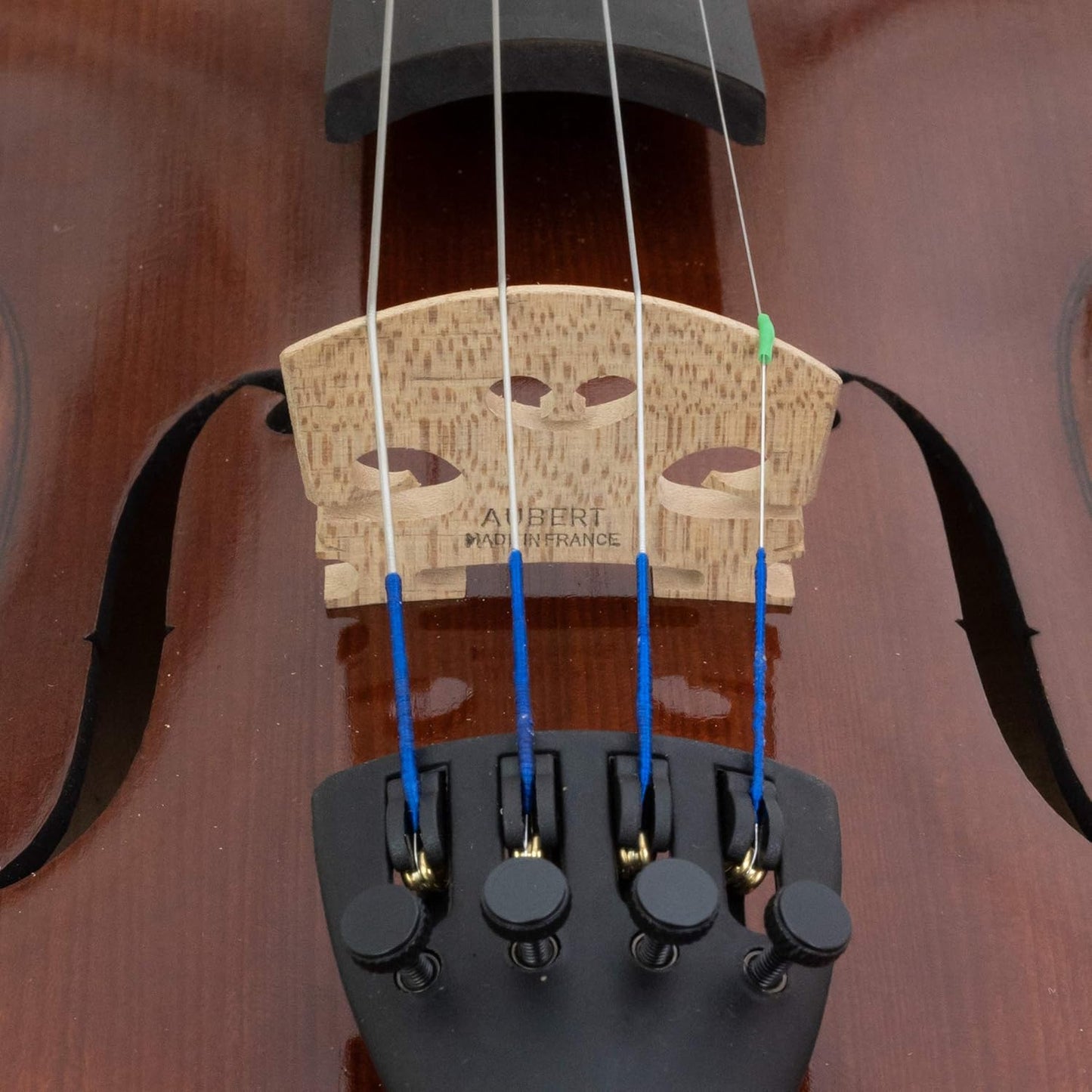 Kennedy Violins Carpini G2 Violin Outfit (3/4)