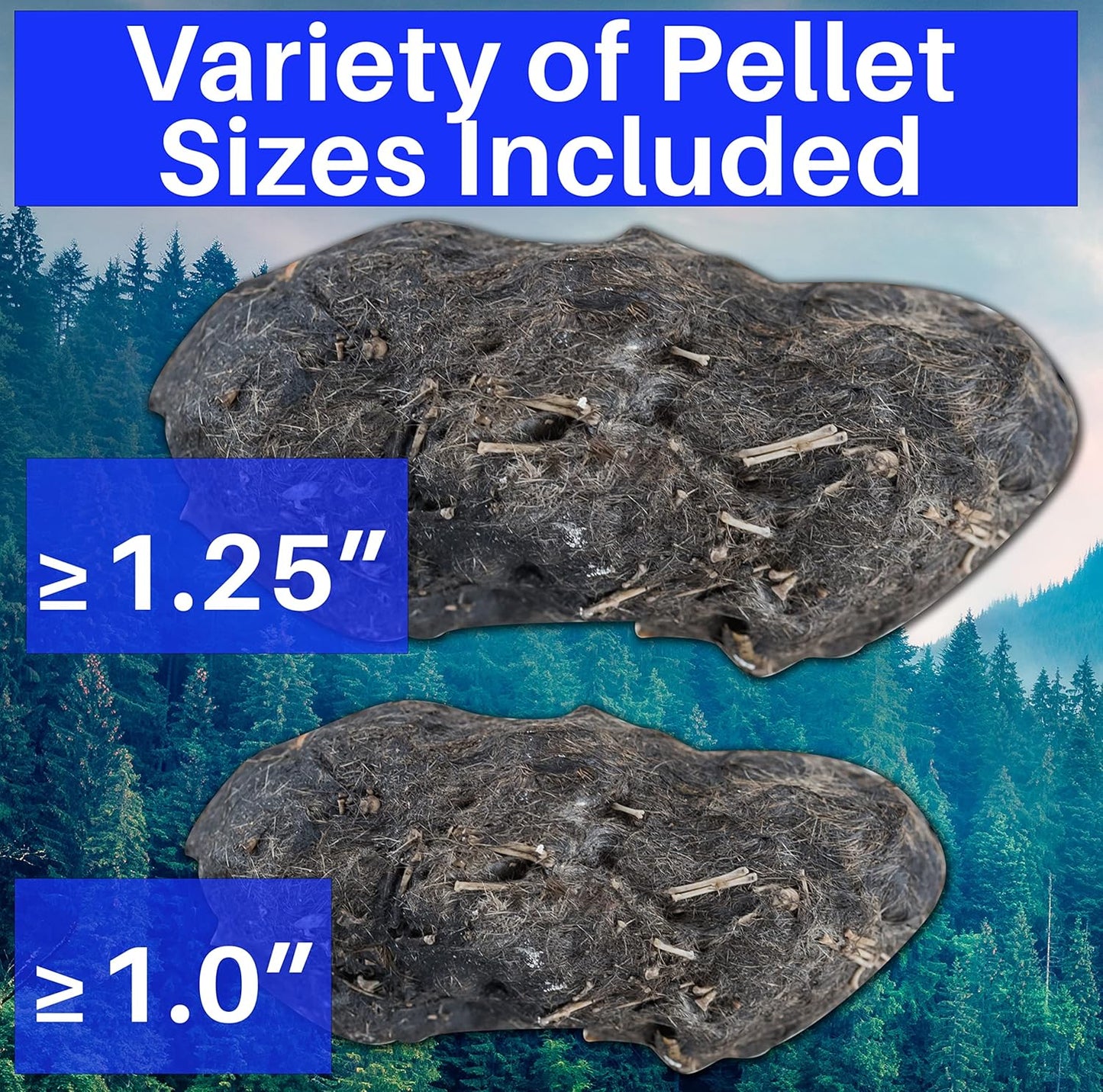 Amazing Owl Pellet Dissection Kit 5-Piece Set for Science Lab Projects Includes Tweezers and Wooden Probes Ideal for Ages 15 & Older Barn Owl eBook Included